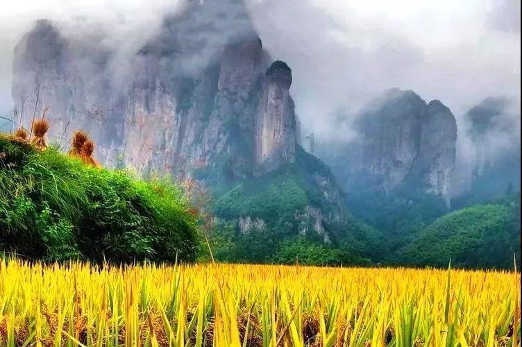 神秘的岛屿