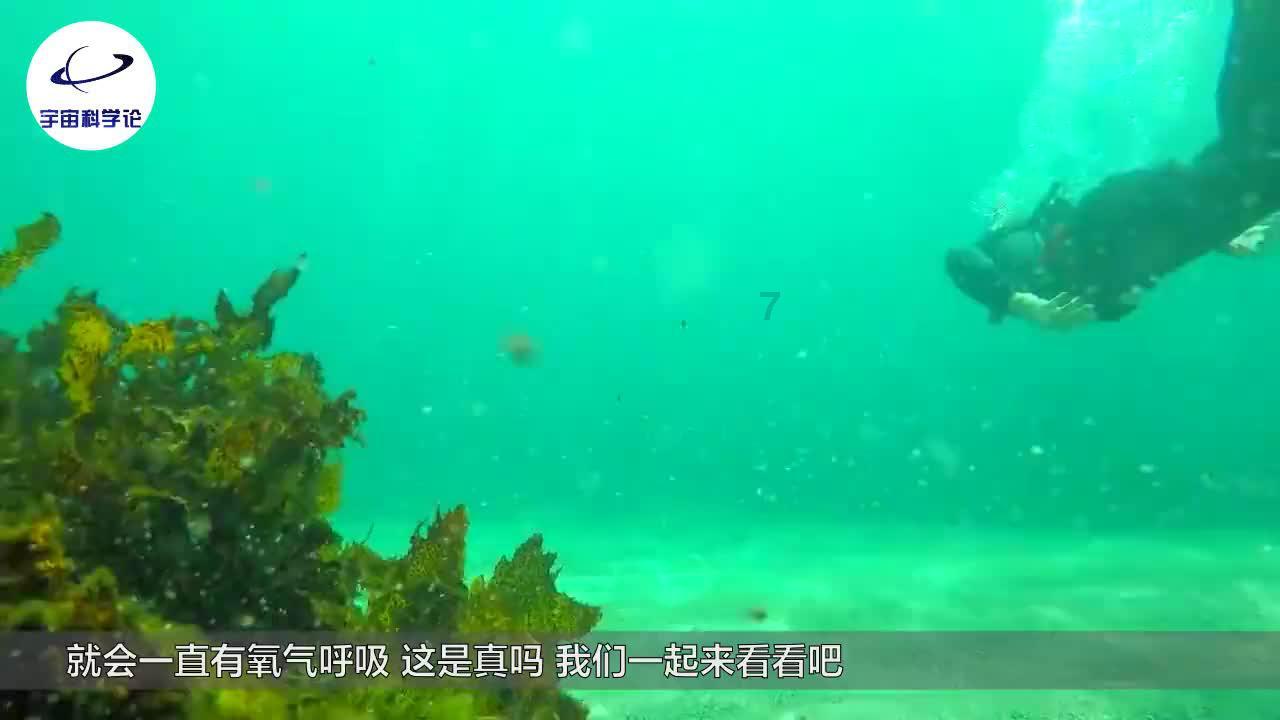 春节将至，年味渐浓，喜迎龙年！