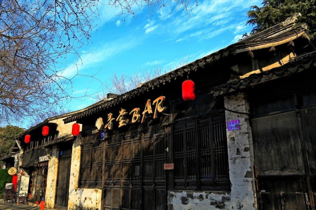 君子兰多久浇一次水最好游戏画面